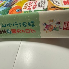 あつ森の攻略本の画像