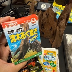 アクア用品、お魚や水槽で飼うペット用の画像