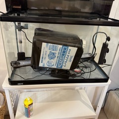 GEX60センチ水槽ふるフルセットの画像