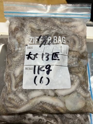♢シガヤー 大27匹 2kg♢