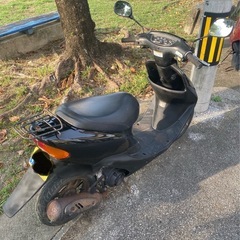 ライブDioの画像