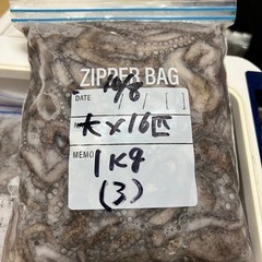 ♢シガヤー 大16匹 1kg (3)♢の画像