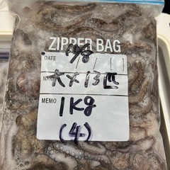 ♢シガヤー 大13匹 1kg (4)♢の画像