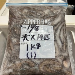 ♢シガヤー 大14匹 1kg♢の画像