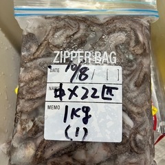 ♢シガヤー 中22匹 1kg♢の画像