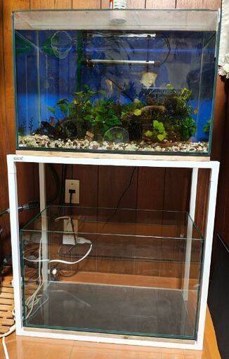 GEX60センチ水槽台、水槽板セット