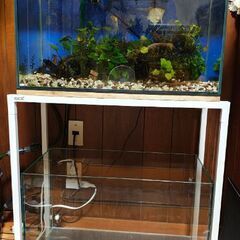 GEX60センチ水槽台、水槽板セットの画像