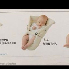 ERGO baby オーガニックインファントインサートの画像