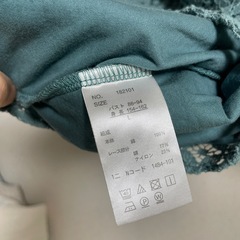 レディースTシャツの画像