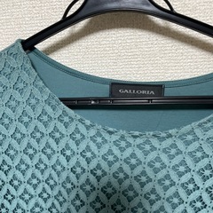 レディースTシャツの画像