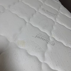 ポケットコイルマットレス付き　すのこベッド　シングルの画像