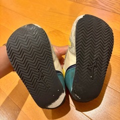 DB・NB14.5cmと15cmの画像