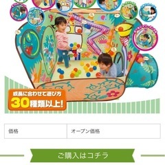 ピープル　知育ボールジャングルの画像