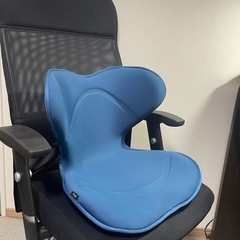 Style smart 
座椅子クッション の画像
