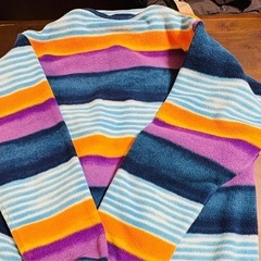 Patagonia Synchilla フリースジャケット Mの画像