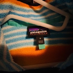 Patagonia Synchilla フリースジャケット Mの画像