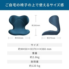 Style smart 
座椅子クッション の画像
