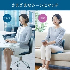 Style smart 
座椅子クッション の画像