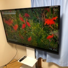 SHARP 60インチ LEDテレビ スタンドセットの画像