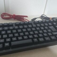 ELECOM DUXシリーズ キーボード TK-DUX30 ＆ マウス M-DUX30 セット 中古 動作確認済みの画像