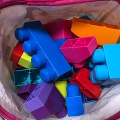 フィッシャープレイス　メガブロックの画像