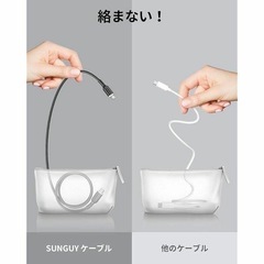 SUNGUY USB-C ケーブル CtoC 車用 スプリグコイル 黒 2mの画像