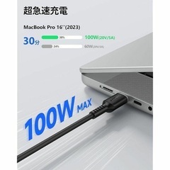 SUNGUY USB-C ケーブル CtoC 車用 スプリグコイル 黒 2mの画像