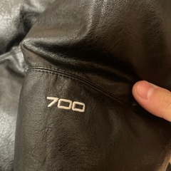交渉🉑試着🉑即日受渡‼️ leather  supreme ノースフェイス シュプリーム the north face コラボ レザーダウンジャケット　冬物　オシャレ　高額ブランド　高級フェザーダウン　羊革 の画像
