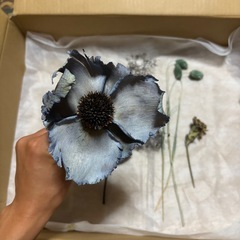 ドライフラワーの画像