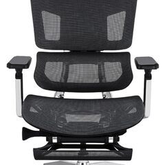 【美品】Rasical ラシカル GrowSpica Elite オフィスチェア 姿勢を正し集中力を増す！の画像