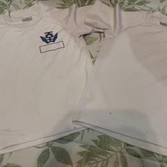 天王小学校　体操服　４枚の画像
