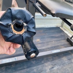 レッグエクステンションの画像