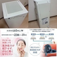 ダイキン 空気清浄機　ペットの毛・ニオイ対策　加湿 空気清浄機 22畳 10年間フィルター交換不要 ストリーマの画像