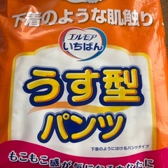 大人用おむつと尿パッド　各1袋
の画像