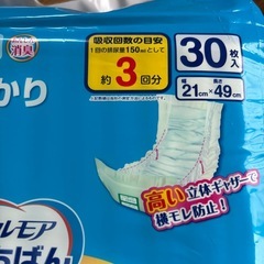 大人用おむつと尿パッド　各1袋
の画像
