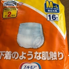 大人用おむつと尿パッド　各1袋
の画像