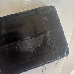 DOLCE &GABBANAの画像