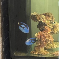 取引先　決定致しました。の画像