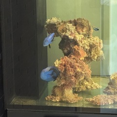 取引先　決定致しました。の画像