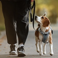便利屋さん・なんでも屋さんです🙂お気軽にご相談ください📩 - 便利屋
