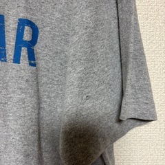 カーハート　プリントTシャツ　メンズ　XL メキシコ製　古着の画像