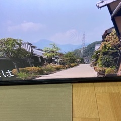 テレビ　REGZA　43M550L 2025年製の画像