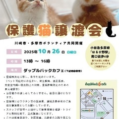 保護猫譲渡会10/26(日)in麻生区はるひ野