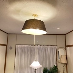 電気のかさ2個セットの画像