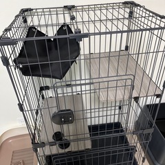 猫ちゃんケージとトイレの画像