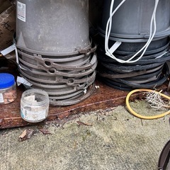 メダカ飼育　バケツ、けーすケースの画像