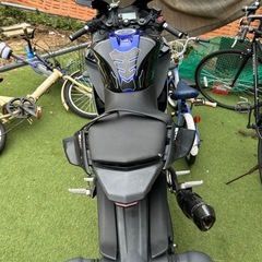 ＹＺＦ-R15 v3の画像