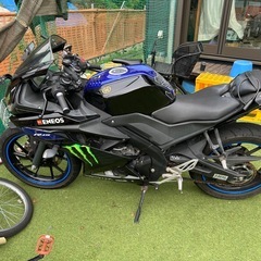 ＹＺＦ-R15 v3の画像