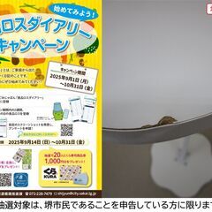 【堺市民限定】(2510-16) コーヒーテーブル＆チェアーの画像