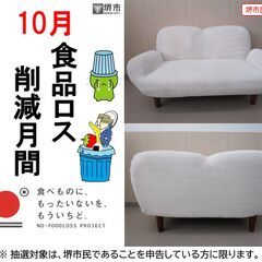【堺市民限定】(2510-23) コンパクトローソファーの画像